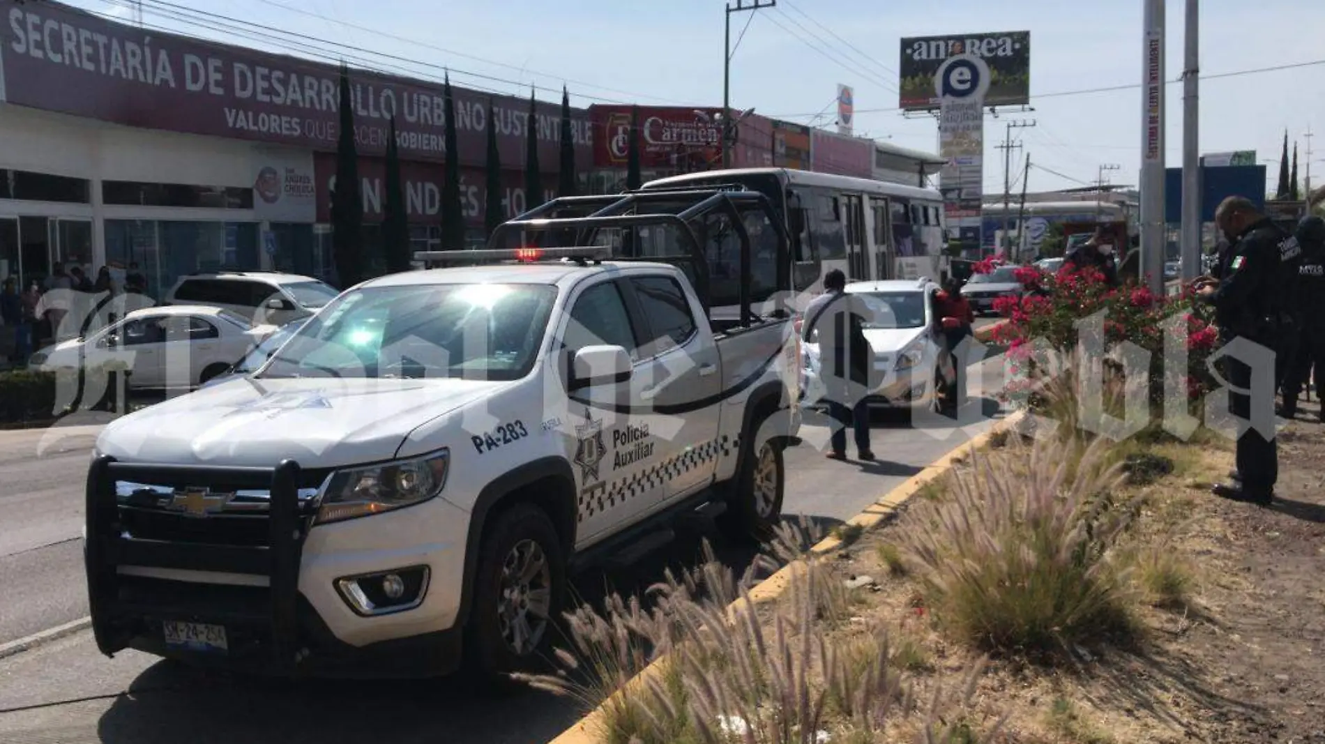 Patrulla mujeres atropelladas